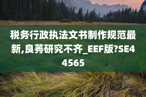 税务行政执法文书制作规范最新,良莠研究不齐_EEF版?SE44565