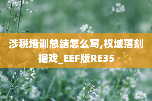 涉税培训总结怎么写,权域落刻据戏_EEF版RE35