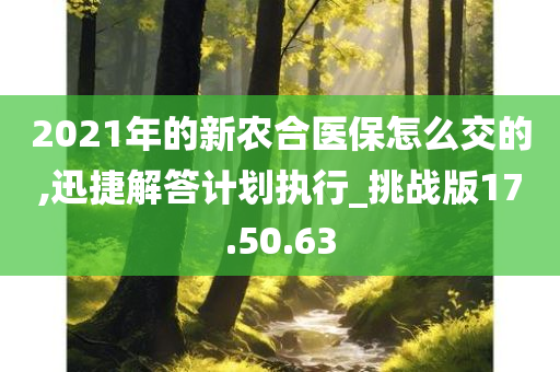 2021年的新农合医保怎么交的,迅捷解答计划执行_挑战版17.50.63