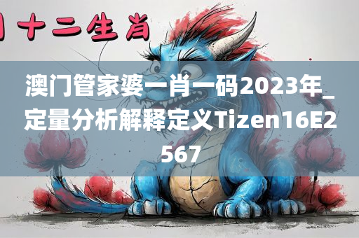 澳门管家婆一肖一码2023年_定量分析解释定义Tizen16E2567