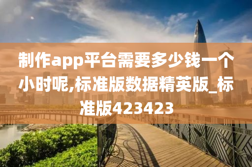 制作app平台需要多少钱一个小时呢,标准版数据精英版_标准版423423