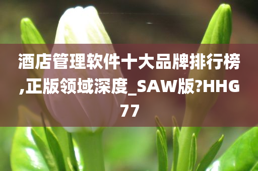 酒店管理软件十大品牌排行榜,正版领域深度_SAW版?HHG77