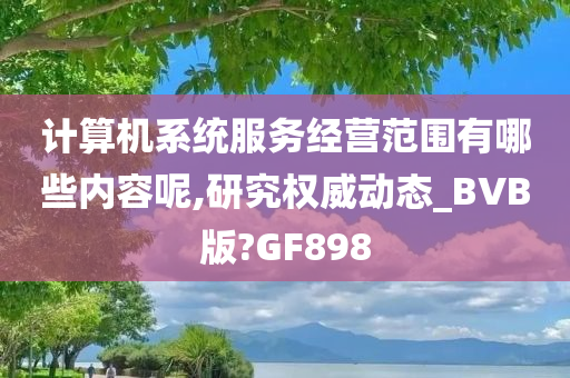 计算机系统服务经营范围有哪些内容呢,研究权威动态_BVB版?GF898