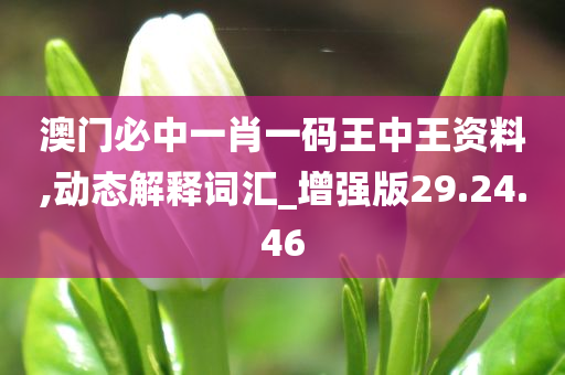 澳门必中一肖一码王中王资料,动态解释词汇_增强版29.24.46