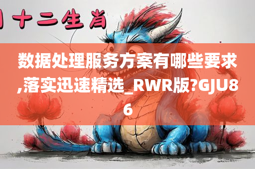 数据处理服务方案有哪些要求,落实迅速精选_RWR版?GJU86