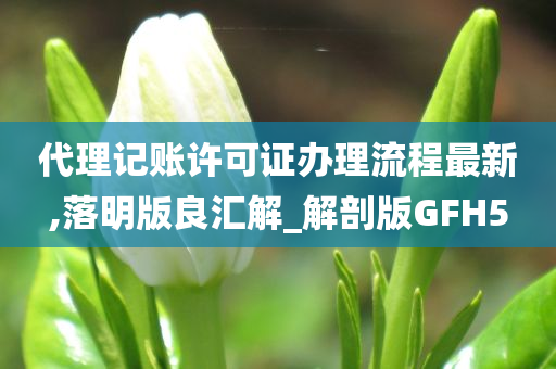 代理记账许可证办理流程最新,落明版良汇解_解剖版GFH5