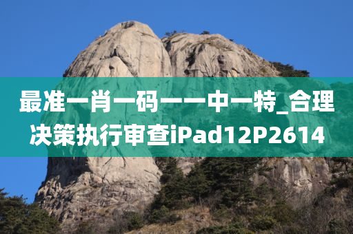 最准一肖一码一一中一特_合理决策执行审查iPad12P2614