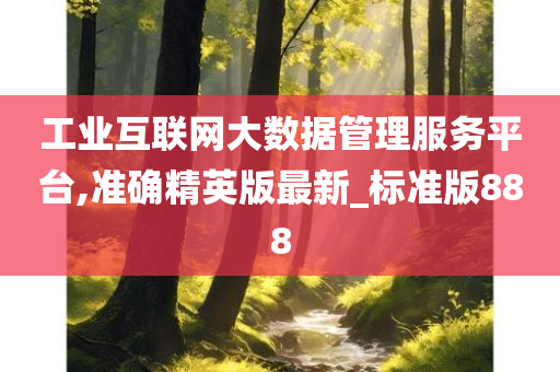 工业互联网大数据管理服务平台,准确精英版最新_标准版888