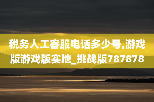 税务人工客服电话多少号,游戏版游戏版实地_挑战版787878