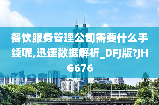 餐饮服务管理公司需要什么手续呢,迅速数据解析_DFJ版?JHG676