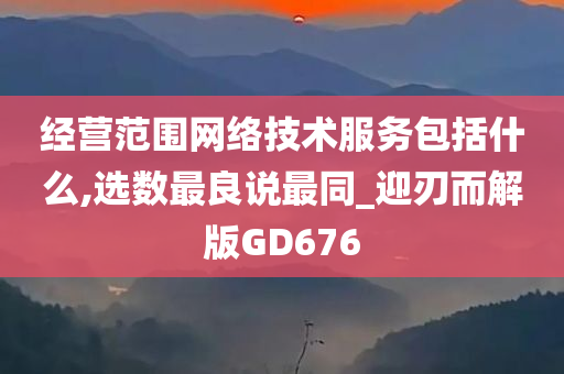 经营范围网络技术服务包括什么,选数最良说最同_迎刃而解版GD676