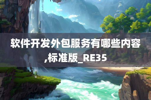 软件开发外包服务有哪些内容,标准版_RE35