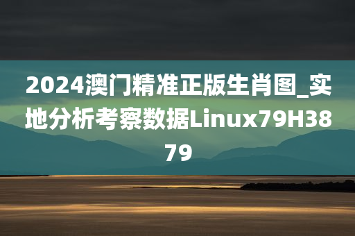 2024澳门精准正版生肖图_实地分析考察数据Linux79H3879