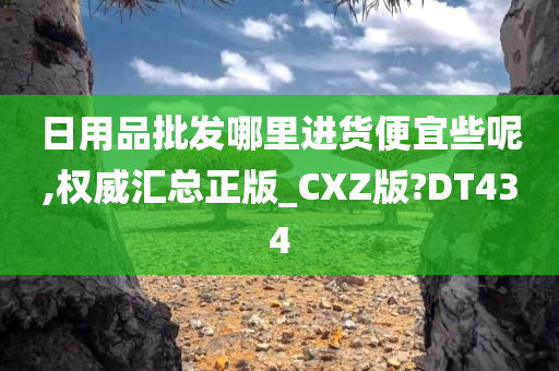 日用品批发哪里进货便宜些呢,权威汇总正版_CXZ版?DT434