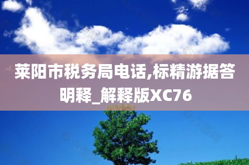 莱阳市税务局电话,标精游据答明释_解释版XC76