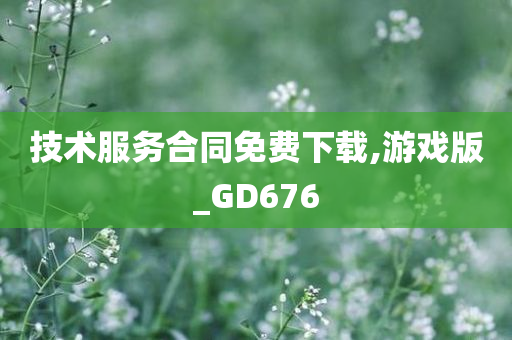 技术服务合同免费下载,游戏版_GD676