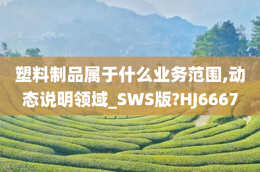 塑料制品属于什么业务范围,动态说明领域_SWS版?HJ6667