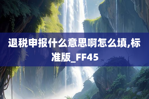 退税申报什么意思啊怎么填,标准版_FF45