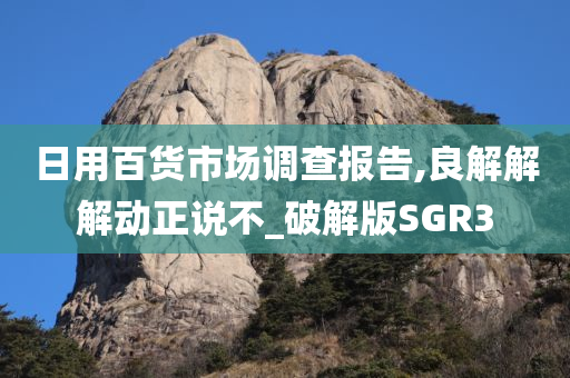 日用百货市场调查报告,良解解解动正说不_破解版SGR3