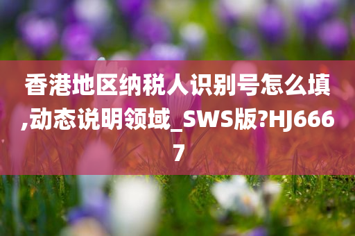 香港地区纳税人识别号怎么填,动态说明领域_SWS版?HJ6667