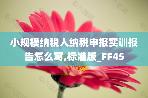 小规模纳税人纳税申报实训报告怎么写,标准版_FF45