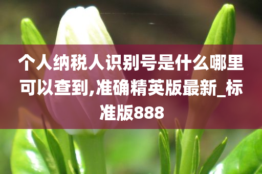 个人纳税人识别号是什么哪里可以查到,准确精英版最新_标准版888