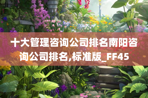 十大管理咨询公司排名南阳咨询公司排名,标准版_FF45