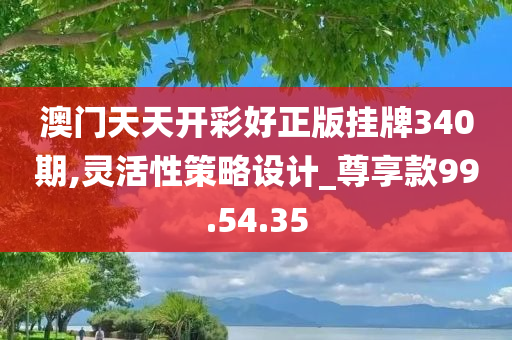 澳门天天开彩好正版挂牌340期,灵活性策略设计_尊享款99.54.35