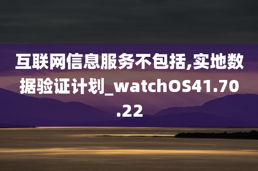 互联网信息服务不包括,实地数据验证计划_watchOS41.70.22