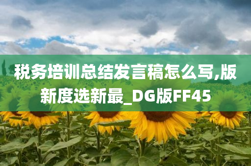 税务培训总结发言稿怎么写,版新度选新最_DG版FF45