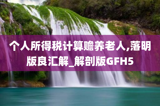 个人所得税计算赡养老人,落明版良汇解_解剖版GFH5