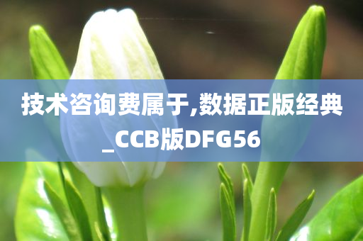 技术咨询费属于,数据正版经典_CCB版DFG56