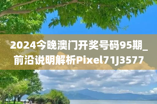 2024今晚澳门开奖号码95期_前沿说明解析Pixel71J3577