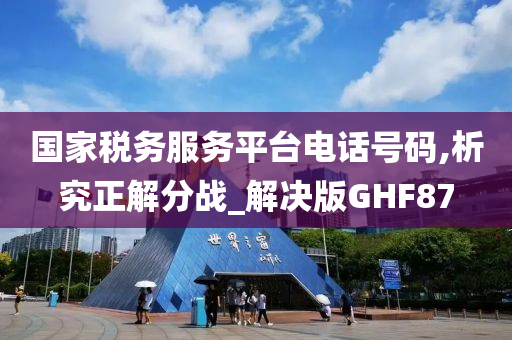 国家税务服务平台电话号码,析究正解分战_解决版GHF87