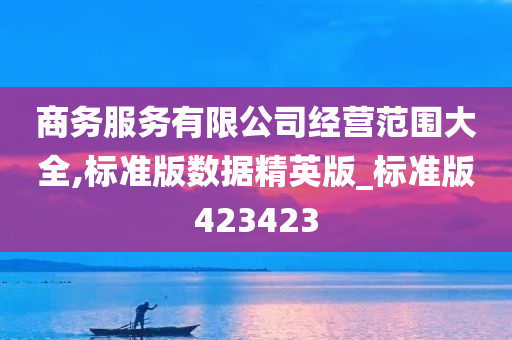 商务服务有限公司经营范围大全,标准版数据精英版_标准版423423