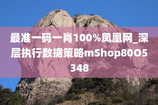 最准一码一肖100%凤凰网_深层执行数据策略mShop80O5348