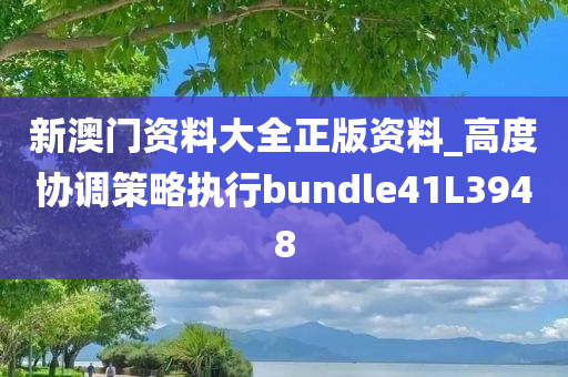 新澳门资料大全正版资料_高度协调策略执行bundle41L3948