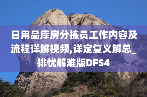 日用品库房分拣员工作内容及流程详解视频,详定复义解总_排忧解难版DFS4