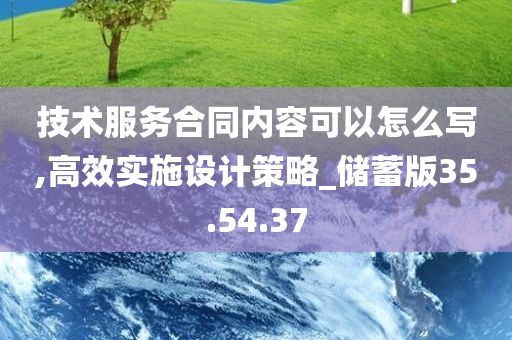 技术服务合同内容可以怎么写,高效实施设计策略_储蓄版35.54.37