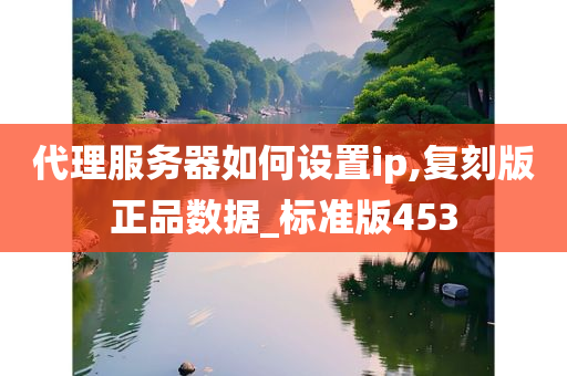 代理服务器如何设置ip,复刻版正品数据_标准版453