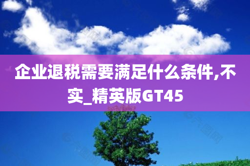 企业退税需要满足什么条件,不实_精英版GT45