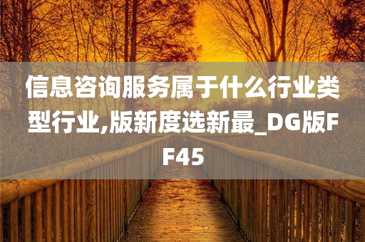 信息咨询服务属于什么行业类型行业,版新度选新最_DG版FF45