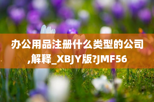 办公用品注册什么类型的公司,解释_XBJY版?JMF56