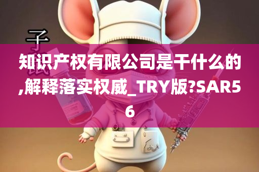 知识产权有限公司是干什么的,解释落实权威_TRY版?SAR56