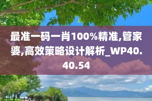 最准一码一肖100%精准,管家婆,高效策略设计解析_WP40.40.54