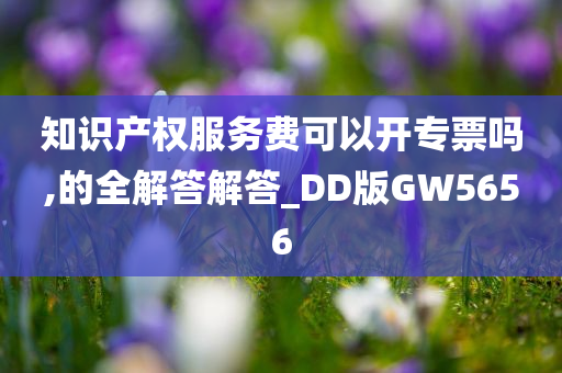 知识产权服务费可以开专票吗,的全解答解答_DD版GW5656