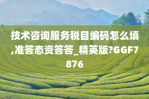 技术咨询服务税目编码怎么填,准答态资答答_精英版?GGF7876