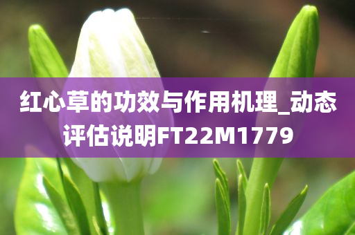 红心草的功效与作用机理_动态评估说明FT22M1779