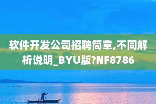 软件开发公司招聘简章,不同解析说明_BYU版?NF8786