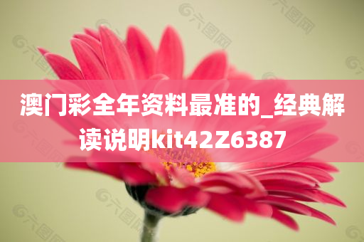 澳门彩全年资料最准的_经典解读说明kit42Z6387